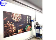 Imprimante murale de mur intelligent de la CE de CMYK Shervin 3d